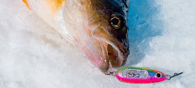 Northland Fishing’s NEW Glass Buck-Shot Rattle Spoon