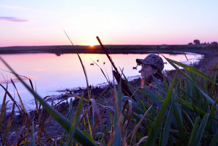 USFWS to Phase Out Lead Ammo and Tackle at Certain Wildlife Refuges