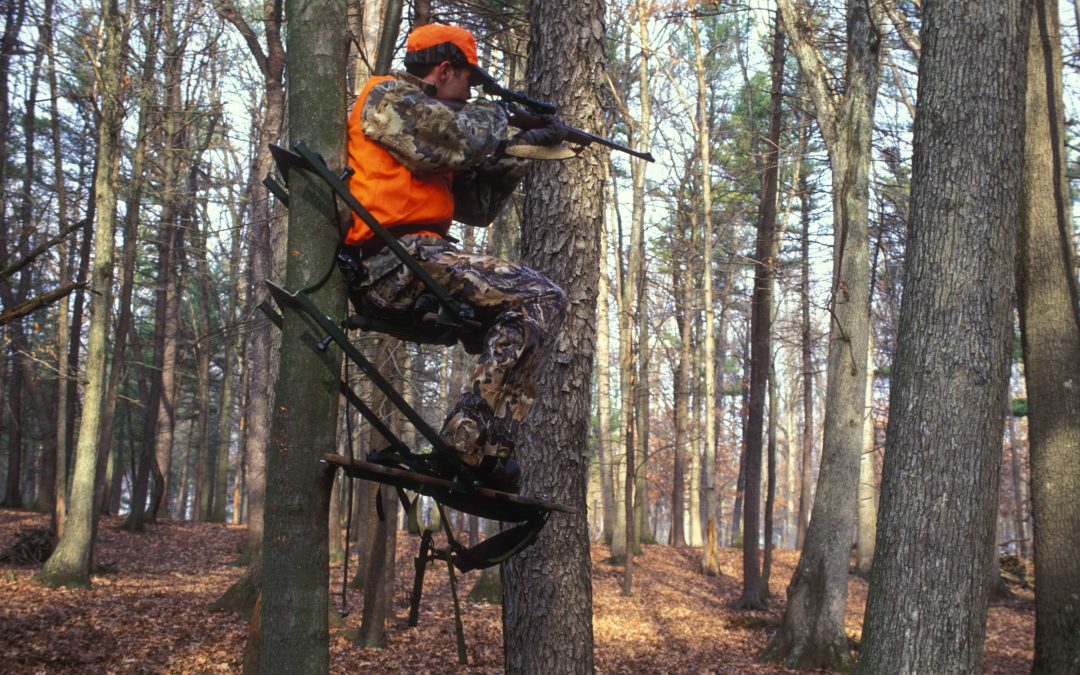 Hunting Deer in the Fall with a Red Dot Sight