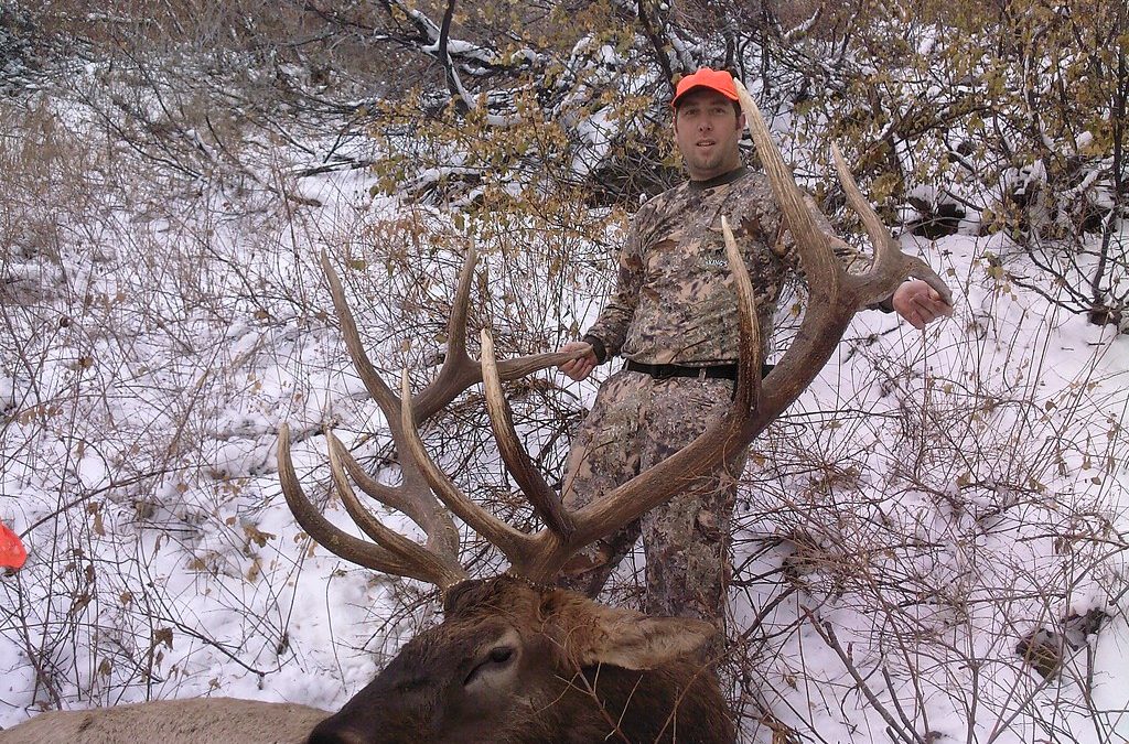 Pro Tips on Elk Hunting with Crossbows