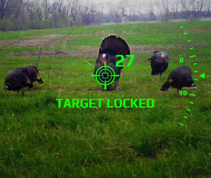 Best Scopes for Hunting Turkey in the Fall