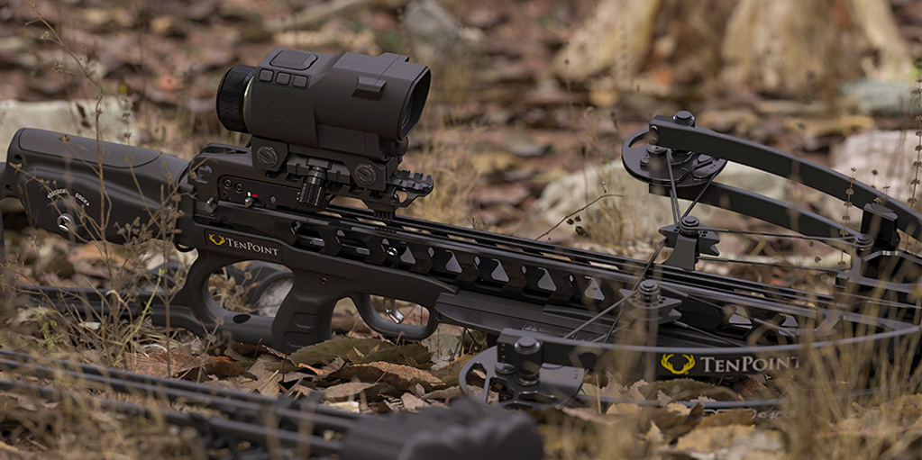 Best Crossbows and Accessories for 2022