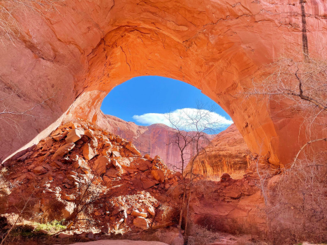 The Beauty of Coyote Gulch