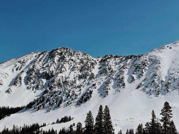 Recording setting snow fall in the northern hemisphere, makes way for a long summer of conservation. 