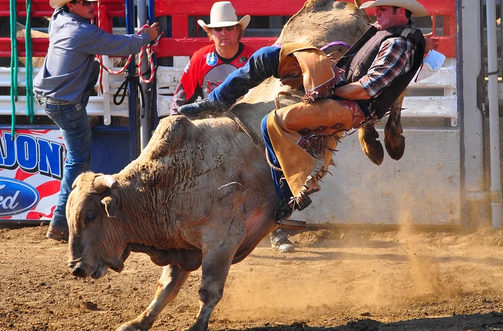 8 seconds: A Bull Riding Guide