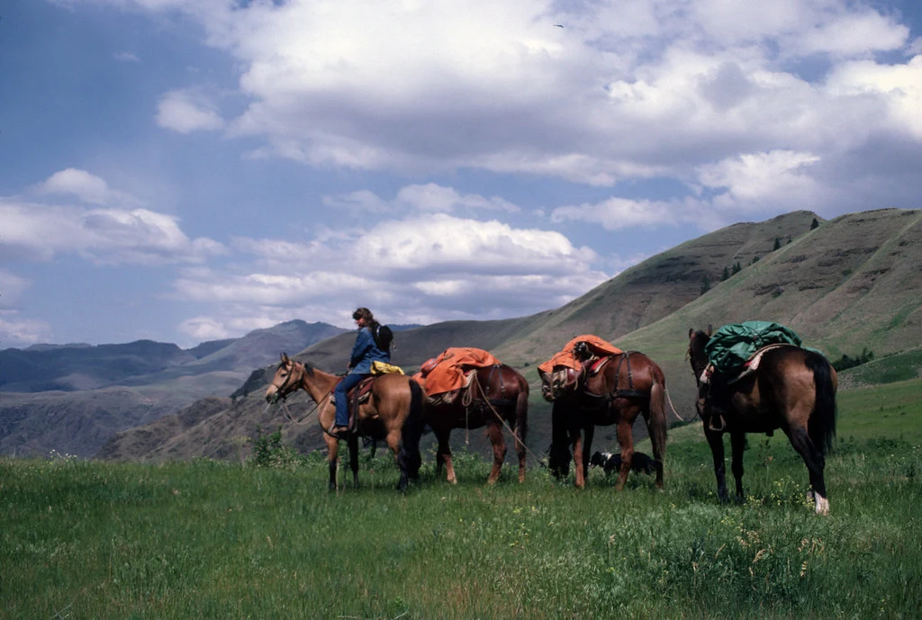 Horse Packing: The Essentials for Beginners - Everest News