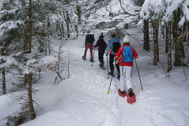 The Art of Winter Walking: A Closer Look at Snowshoeing