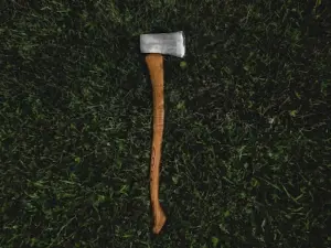 An axe in the grass