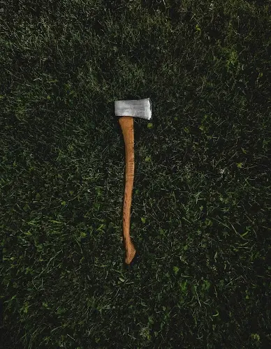 An axe in the grass