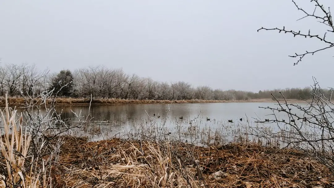 Waterfowl Hunting 101: 5 Essentials You Can’t Go Without