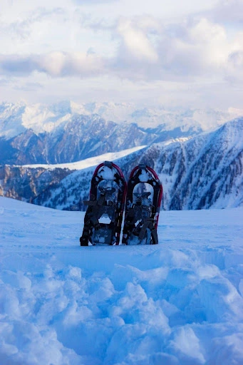 Ultimate Guide to Choosing the Best Snowshoes for Winter Adventures